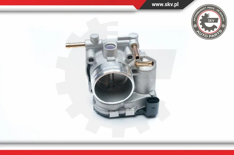 Throttle Body