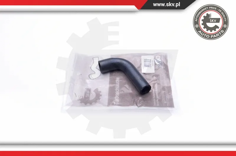 Radiator Hose (24SKV364)
