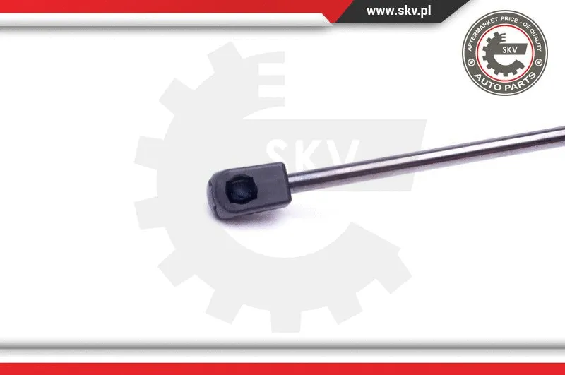 Gas Spring, boot/cargo area