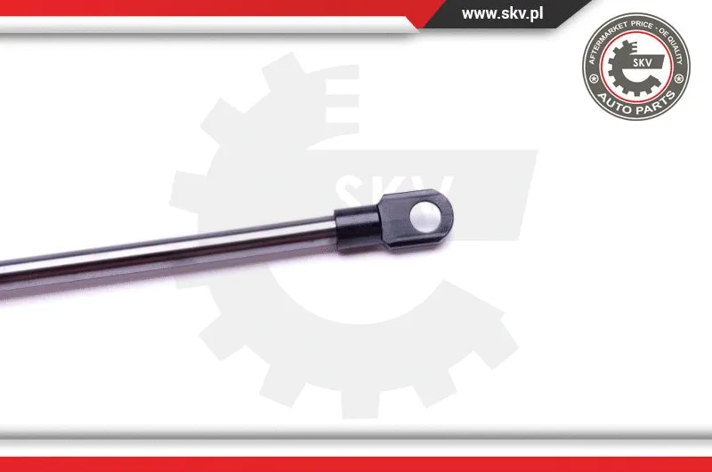 Gas Spring, bonnet