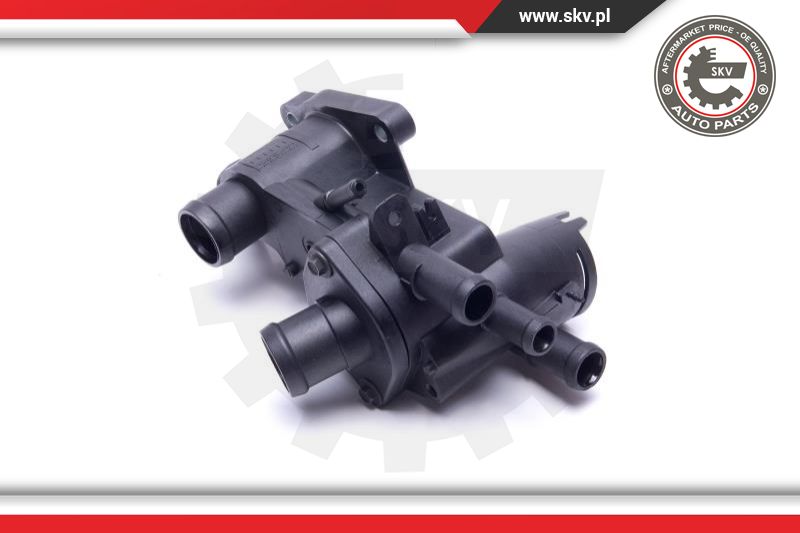 Thermostat, coolant
