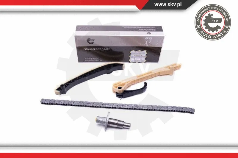 Timing Chain Kit (21SKV132)