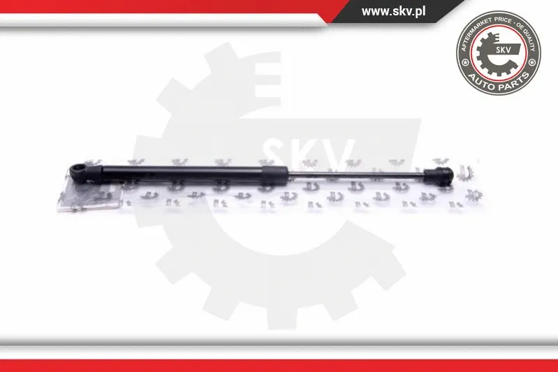 Gas Spring, rear window (52SKV755)