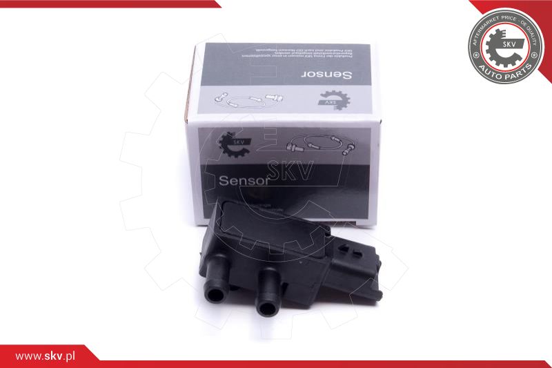Sensor, exhaust pressure (17SKV786)