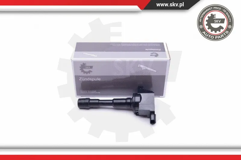 Ignition Coil (03SKV311)