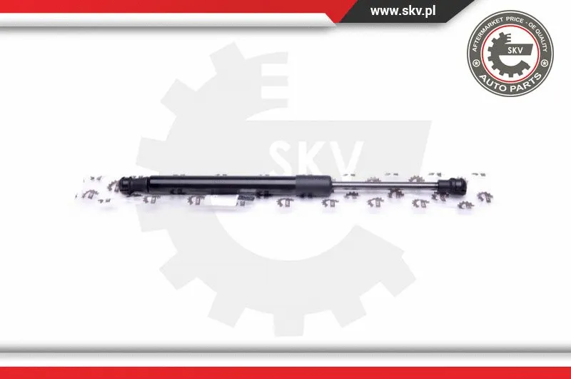 Gas Spring, boot/cargo area