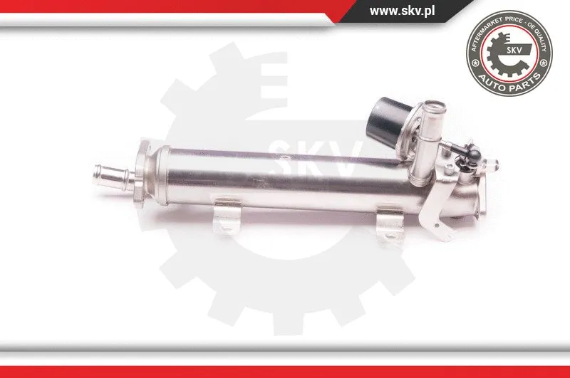 EGR Valve (14SKV123)
