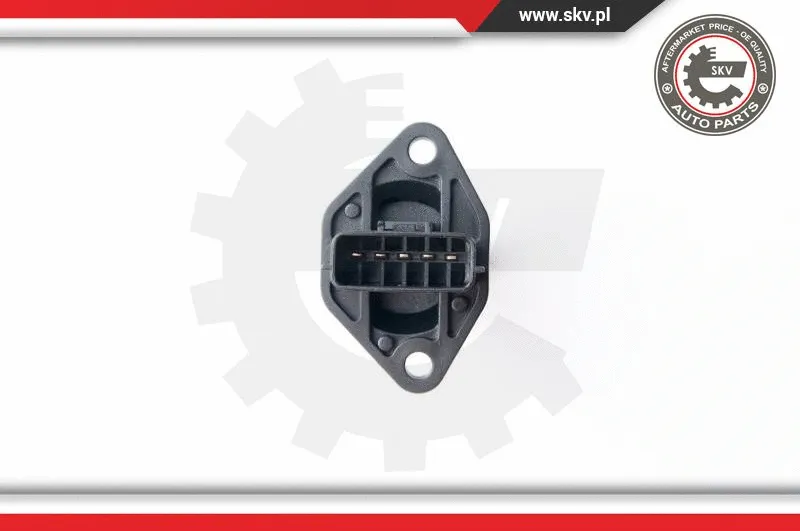 Mass Air Flow Sensor