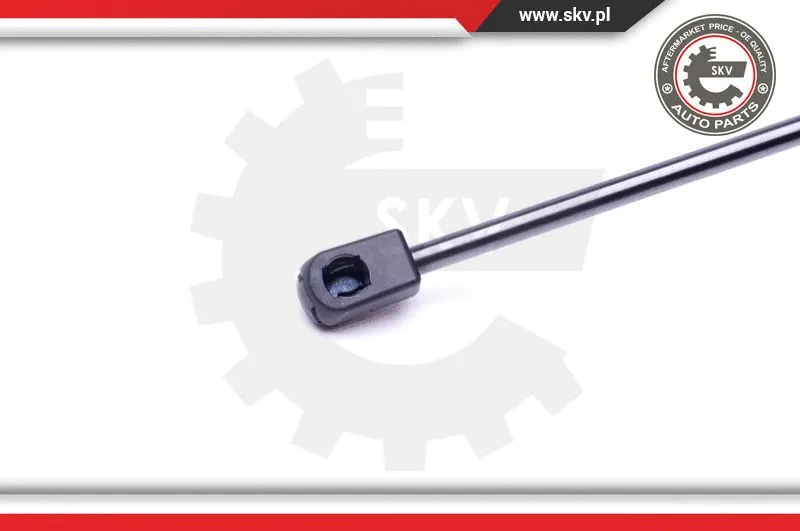 Gas Spring, boot/cargo area
