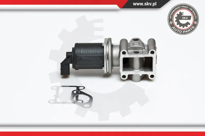 EGR Valve