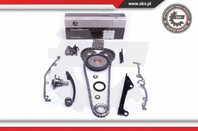 Timing Chain Kit (21SKV241)