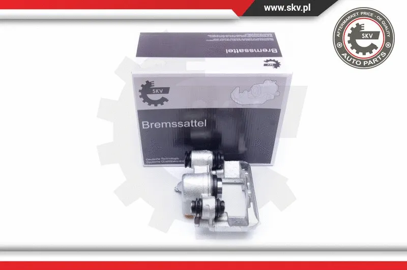 Brake Caliper (42SKV284)