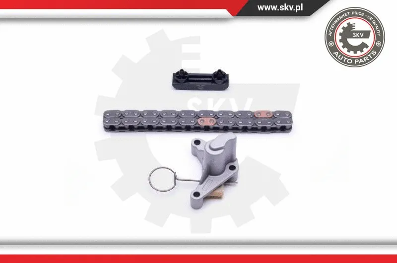 Timing Chain Kit