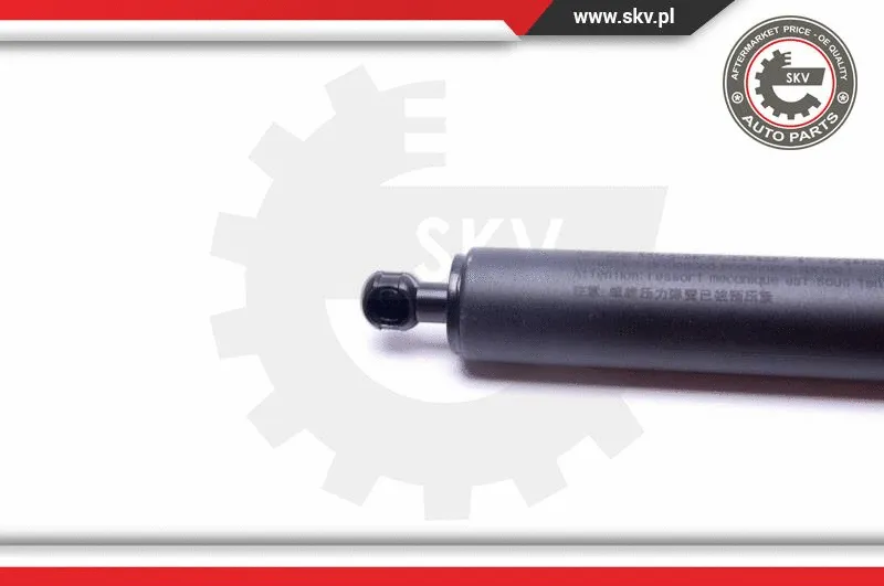 Gas Spring, boot/cargo area