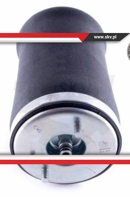Air Spring, suspension