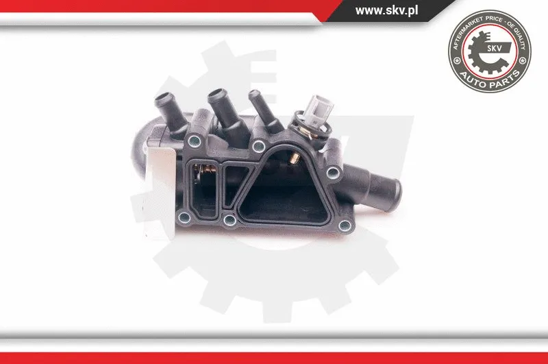 Thermostat, coolant