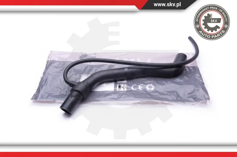 Radiator Hose (43SKV700)