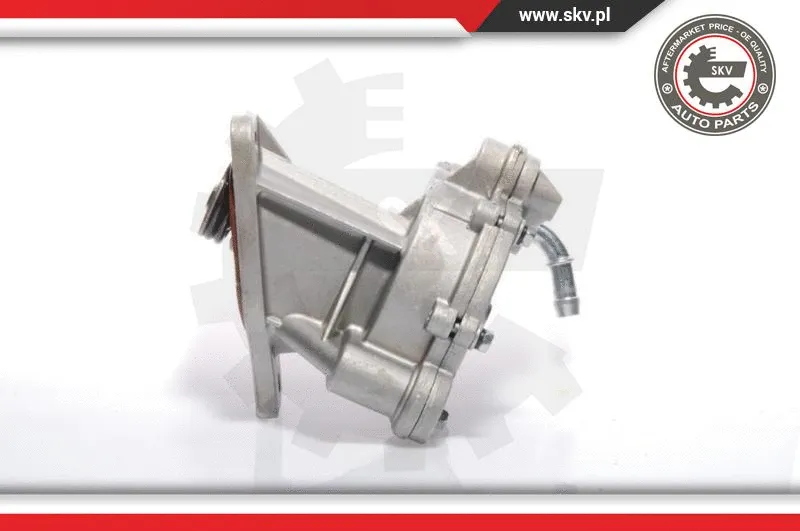 Vacuum Pump, braking system (18SKV008)