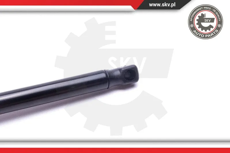 Gas Spring, boot/cargo area