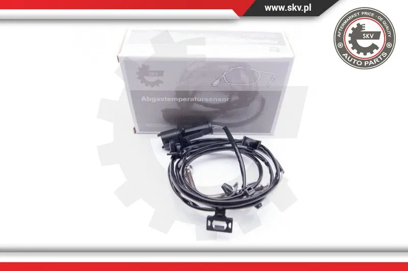 Sensor, exhaust gas temperature (30SKV034)