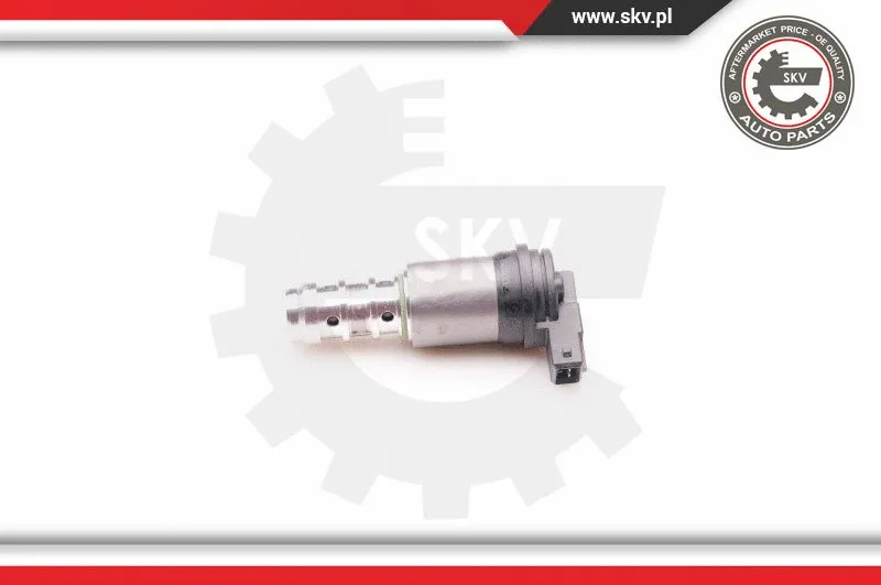 Control Valve, camshaft adjustment (39SKV013)