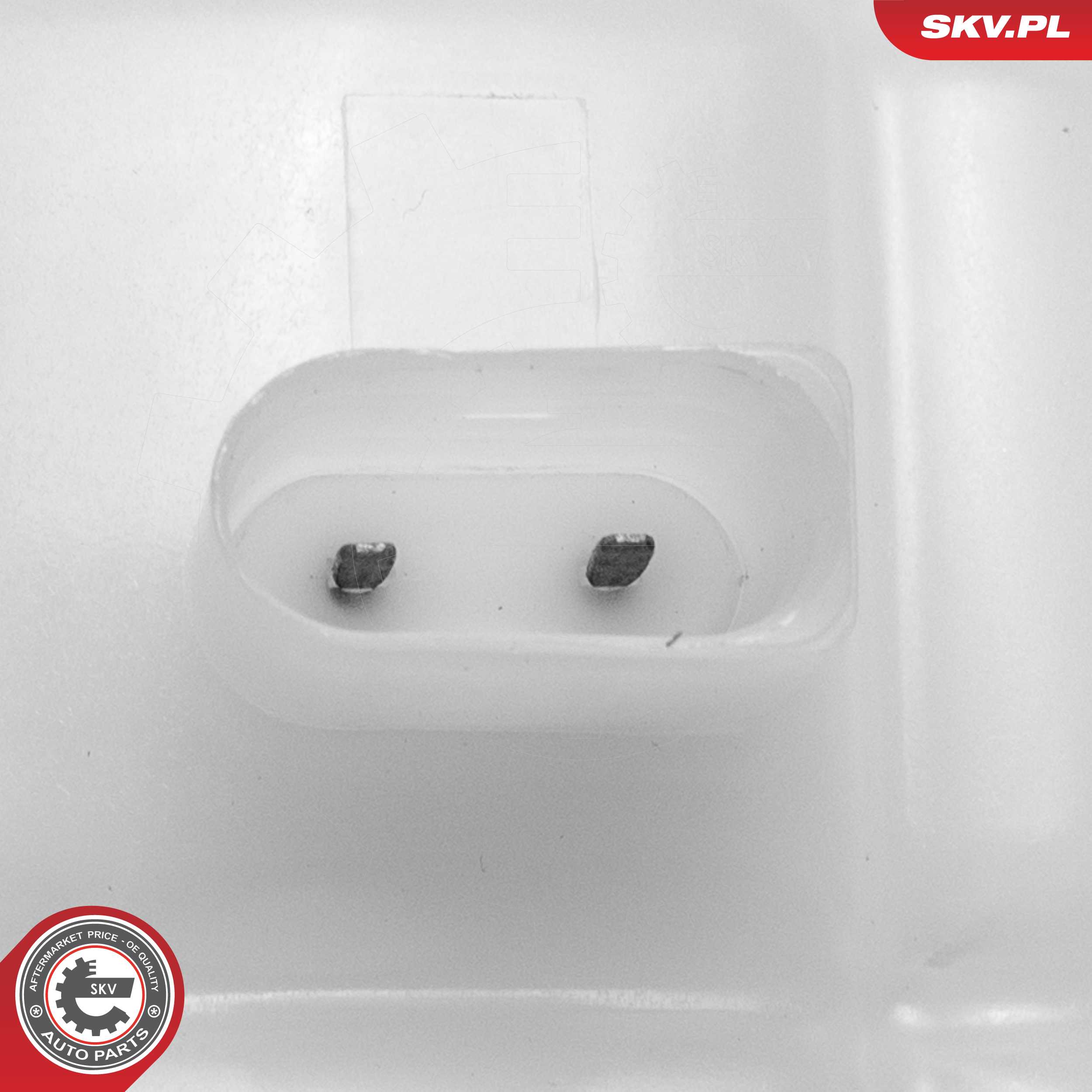 Expansion Tank, coolant