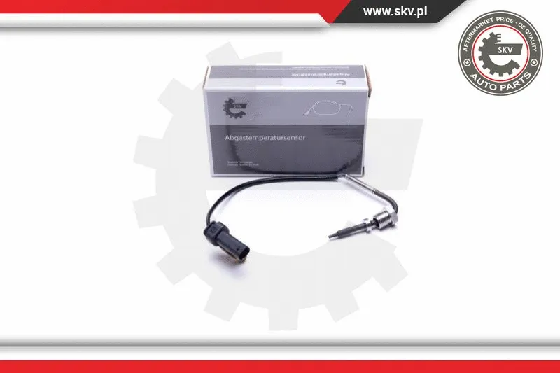 Sensor, exhaust gas temperature (30SKV374)