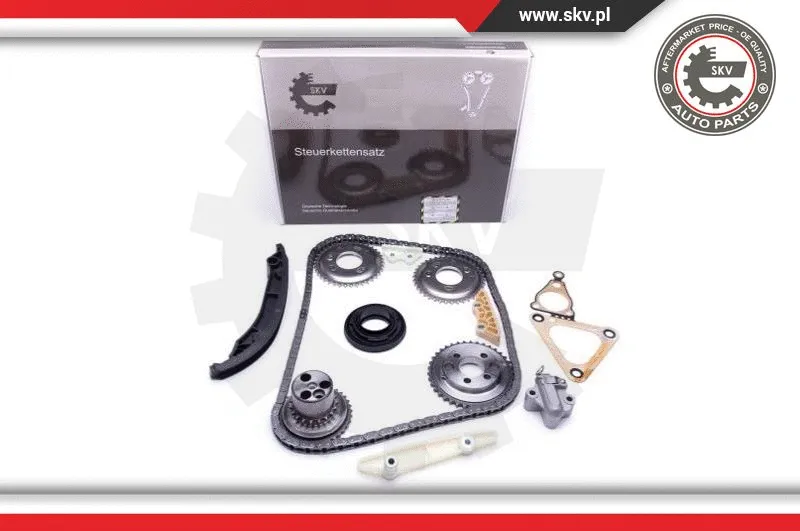 Timing Chain Kit (21SKV123)