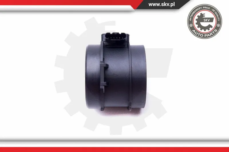 Mass Air Flow Sensor
