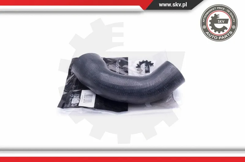 Charge Air Hose (43SKV193)