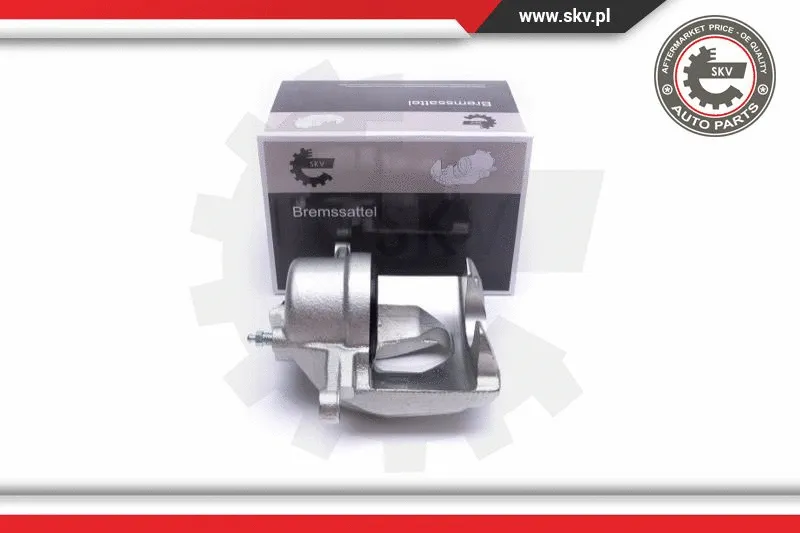 Brake Caliper (50SKV132)