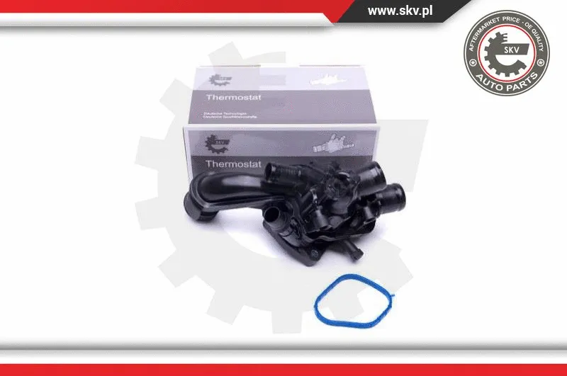 Thermostat, coolant (20SKV096)