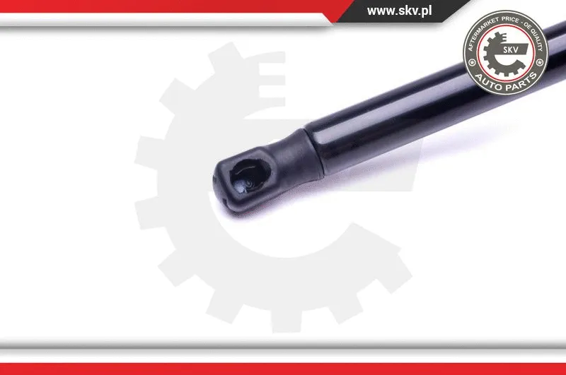 Gas Spring, boot/cargo area