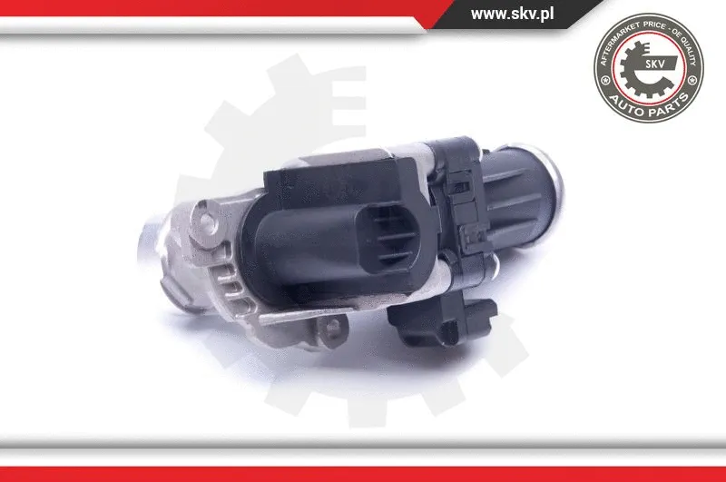 EGR Valve