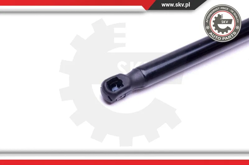 Gas Spring, boot/cargo area