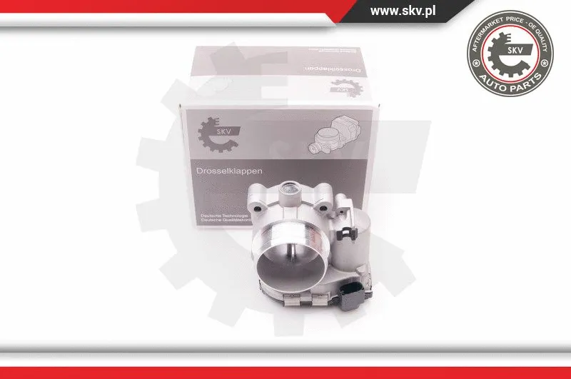 Throttle Body (12SKV054)
