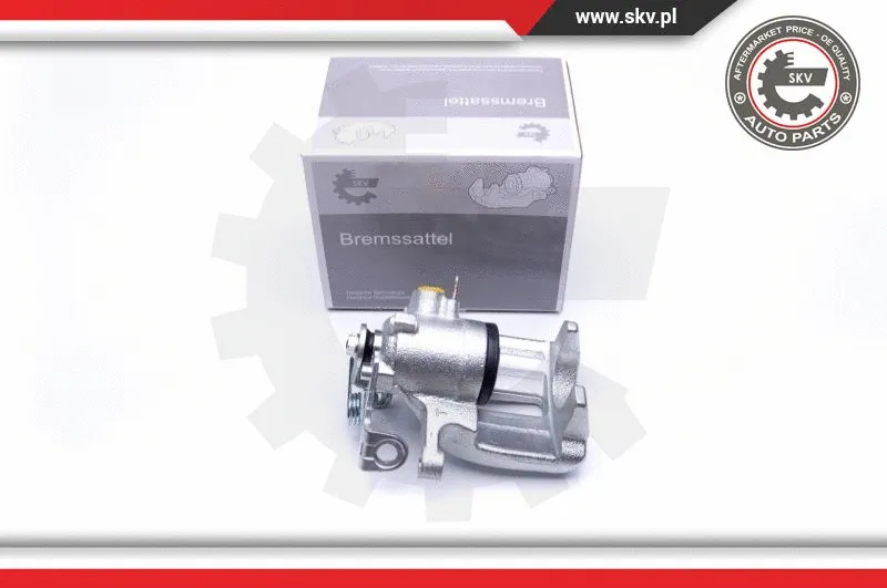 Brake Caliper (45SKV153)