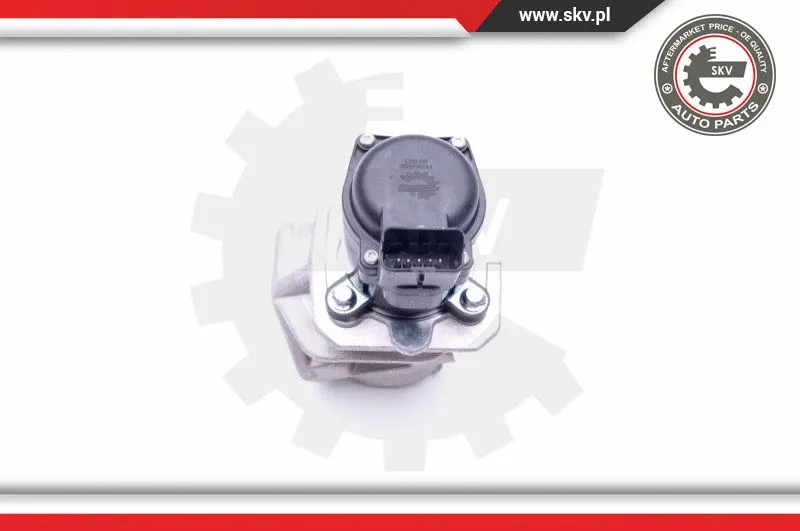 EGR Valve