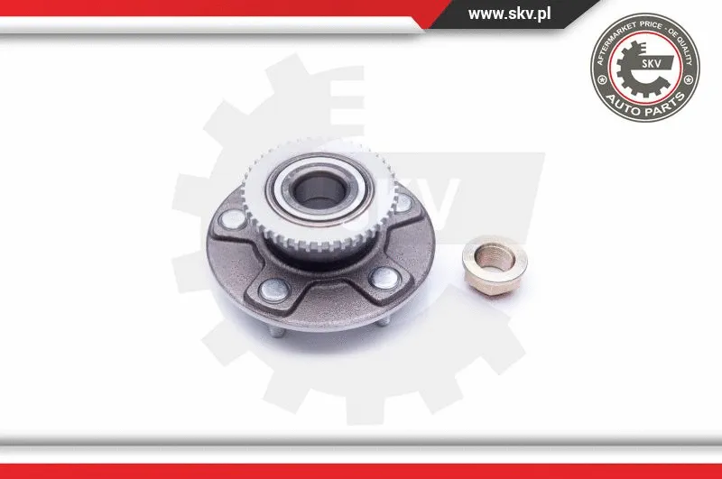 Wheel Bearing Kit