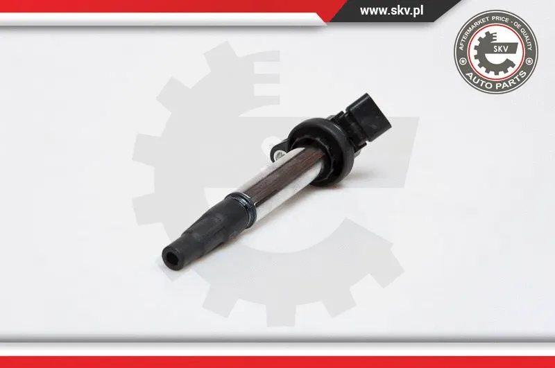 Ignition Coil (03SKV173)