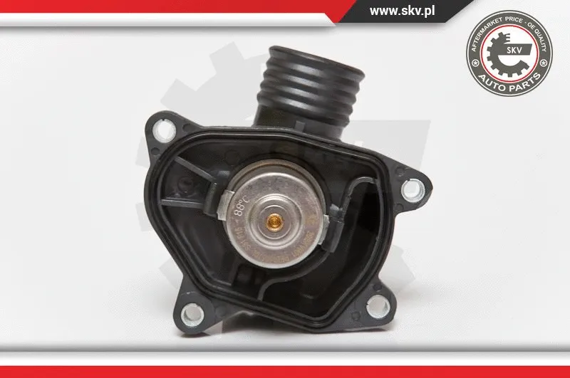 Thermostat, coolant
