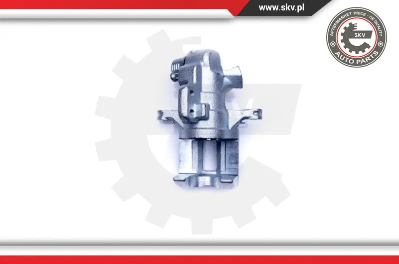 Brake Caliper (42SKV294)