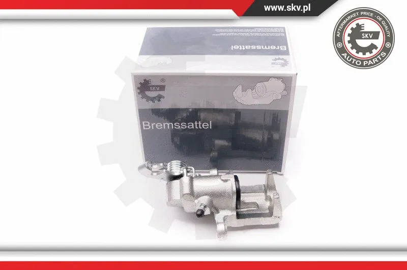 Brake Caliper (34SKV133)