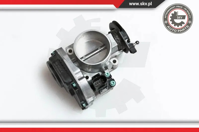 Throttle Body (12SKV023)