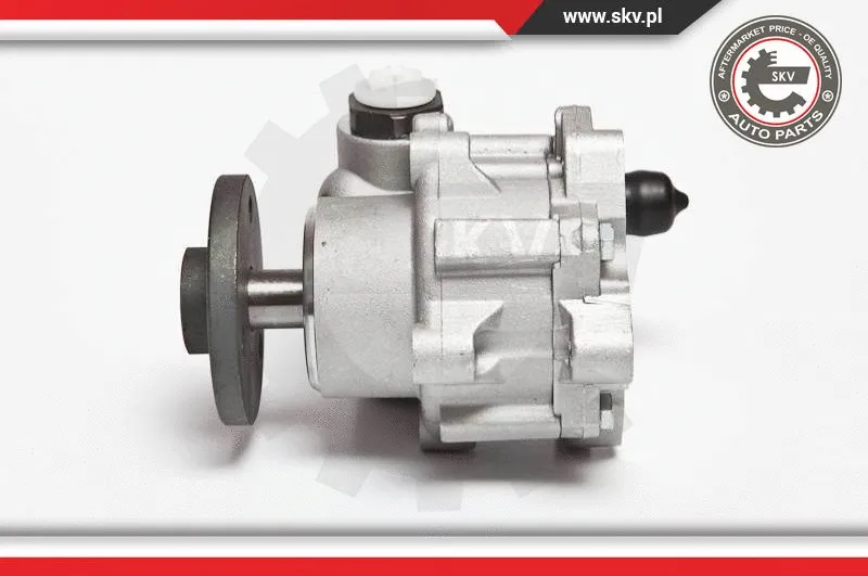 Hydraulic Pump, steering (10SKV123)