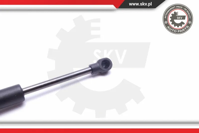 Gas Spring, boot/cargo area