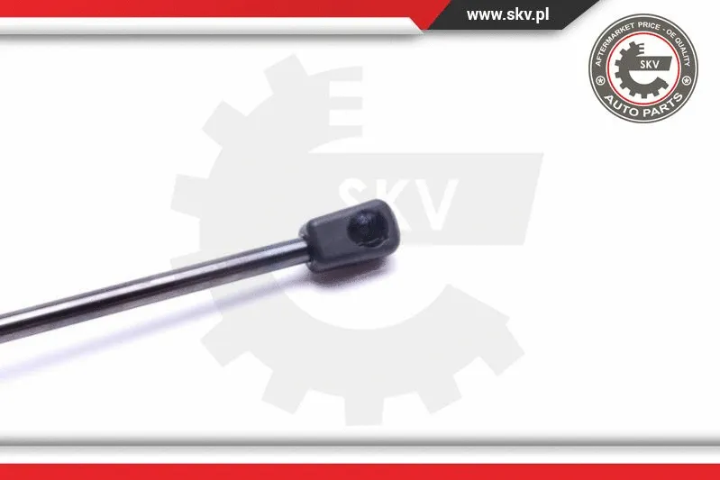 Gas Spring, boot/cargo area