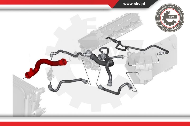 Radiator Hose