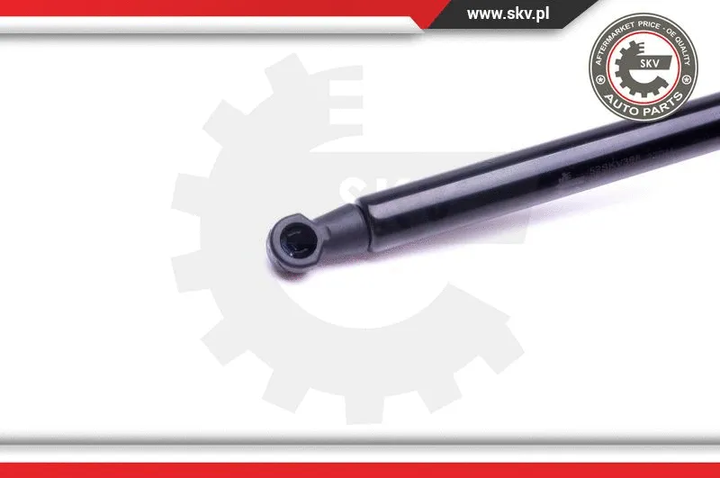 Gas Spring, boot/cargo area