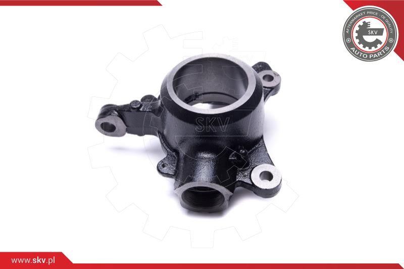 Steering Knuckle, wheel suspension